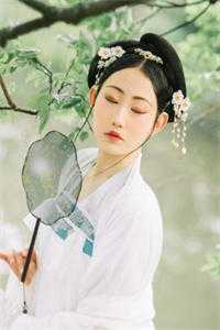 大树变异，我的天赋有亿点多！