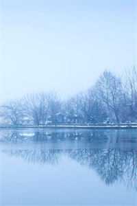 老婆移情别恋，我失忆不要她了畅销书籍