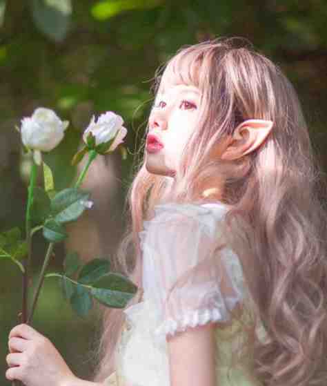 扶摇直上畅读全文版