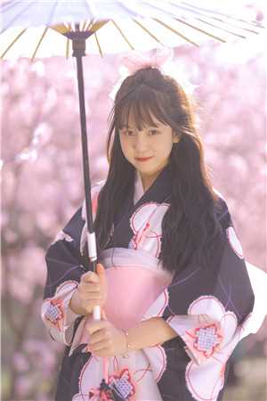 全文浏览官婿美人香