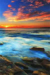 裁员出击:啪啪打脸恶毒前妻精品阅读