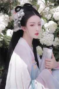 全章节阅读扶摇直上