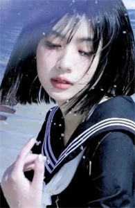 精品选集官婿美人香