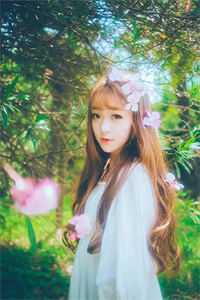 不就给她过户房子,至于离婚吗?全文章节