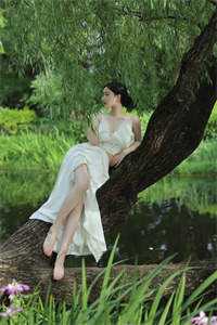 不就给她过户房子,至于离婚吗?畅读佳作
