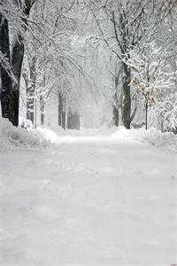 玉色如绝：将军莫误柳叶刀全集阅读