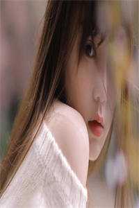 宏图美人志全文小说