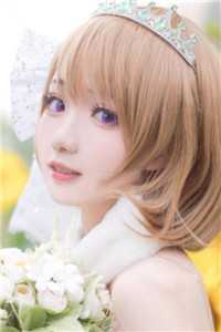 村医小神农全文版