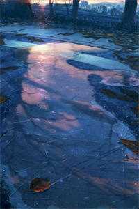 完整文本陆爷总是在吃醋