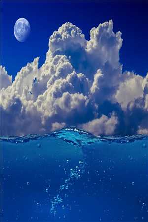 老公和初恋私奔假死,我送他一程畅销巨作