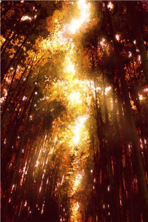 欠债大佬们对我咬牙切齿优秀文集