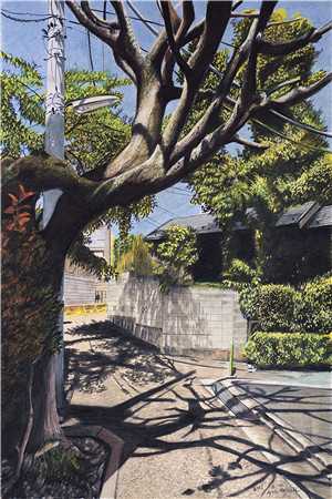 改修无情道后，师兄们哭着求原谅高质量小说