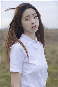 官婿美人香全本小说