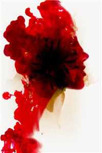 山鸟与鱼不同路畅销小说推荐