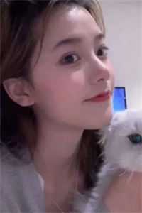 官婿美人香热门小说