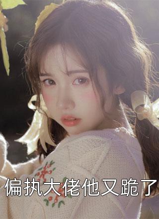 真少爷重拳出击全集小说