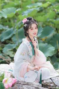 我的绝色老婆全文浏览