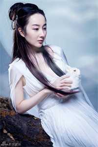 快穿清朝后，嫡女选择攻略康熙精品推荐