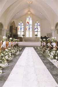 我的绝色老婆全文