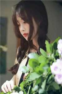 畅销巨著蜜藕莲花