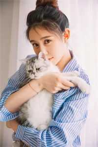 扶摇袅袅完整版