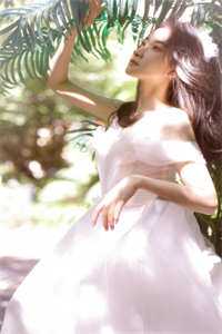 畅销巨著摘下那朵高岭之花