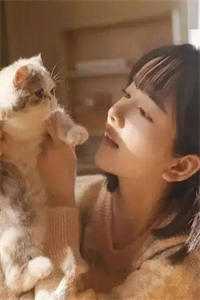 全文小说官婿美人香