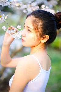 白日梦想家高质量小说阅读