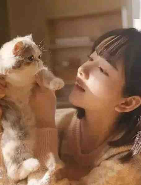 文章全文被鹤精和嫡妹引天劫诛杀,重生后我为鲛人夫君怀龙胎