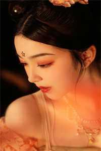 官婿美人香文章全文