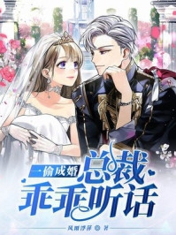 重生:京都贵女的复仇日记是哪本