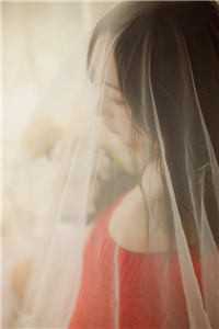 家徒四壁：女教授向我求婚什么小说