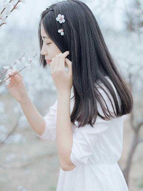 离婚后，冷艳总裁跪求复婚结局