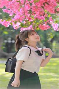 兰因絮果异常火爆