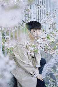 海啸来袭,丈夫救了白月光,看着我和女儿死。书目