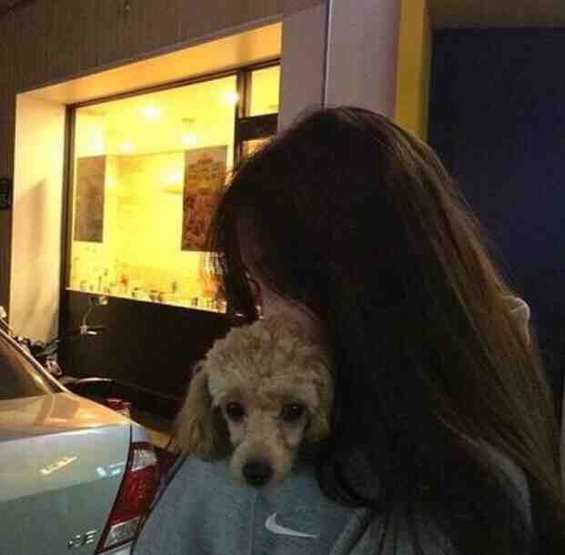 绝世神医纵横都市男女主人公