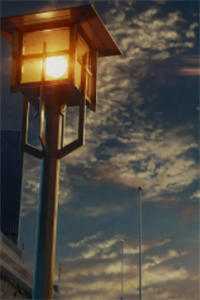 重生洞房花烛夜，火爆医妃杀疯了完结+番外