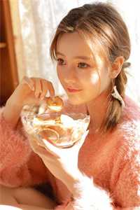 云鸢不可追剧情