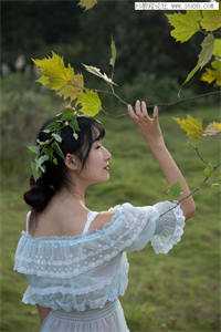 我用花瓶通古今畅读