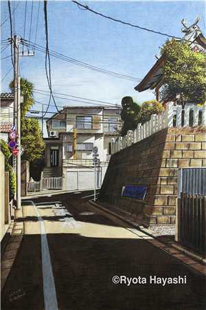 我的不凡职业免费阅读