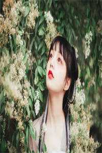 昨日迷途全文+后续