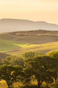 不就给她过户房子，至于离婚吗？知乎