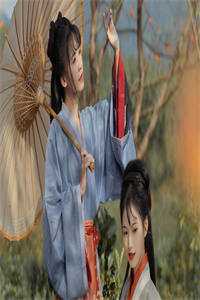 报告太子：这个太子妃好眼熟未删减版