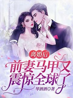 夫人马甲被爆,清冷少帅宠妻无度!必读文