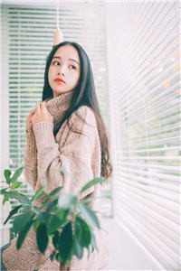 女儿跳楼自杀后,我杀疯了爆款宝藏