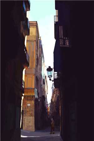 玫瑰不再温柔前文+