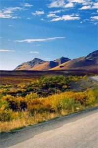 天降巨富无删减全文