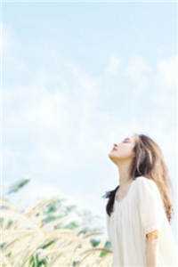 山海皆有归期最完整版