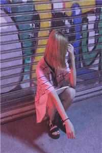 云鸢不可追全章节