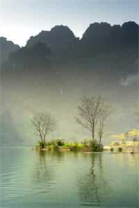 爱在梦醒时分未删减版